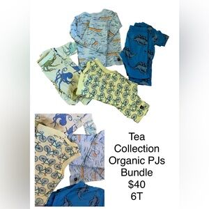 TEA COLLECTION BUNDLE!